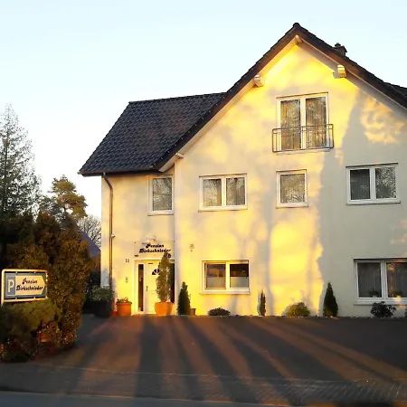 住宿加早餐酒店 Dirkschnieder