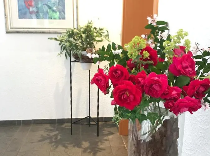 Dirkschnieder 住宿加早餐酒店 *